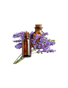 essential oils lavender